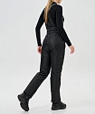 Утепленные брюки Nordski Winter Black W